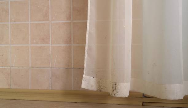 Best Mold Removal for HVAC Installations  in Riverdale, CA