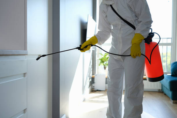 Best Mold Remediation for Vacation Homes  in Riverdale, CA