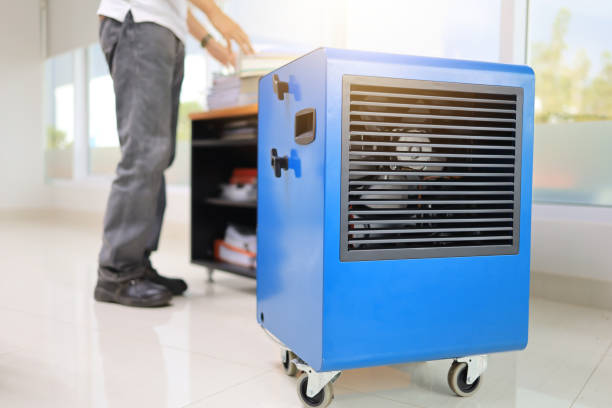 Reliable Riverdale, CA Mold Removal Solutions