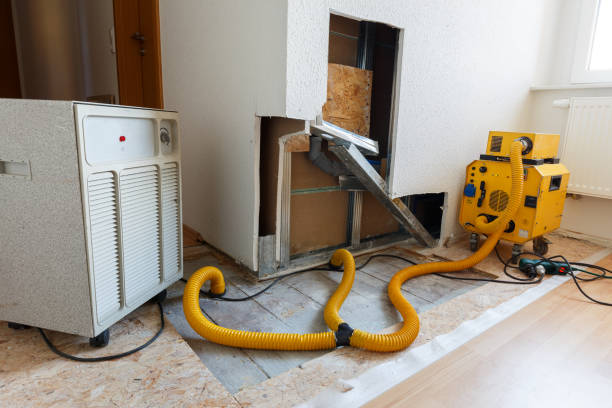 Biohazard Mold Removal in Riverdale, CA